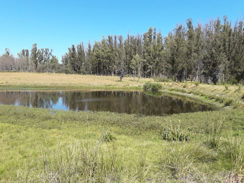 Chacra Ruta 12, km 14,5 (Padron 19500) - foto 5