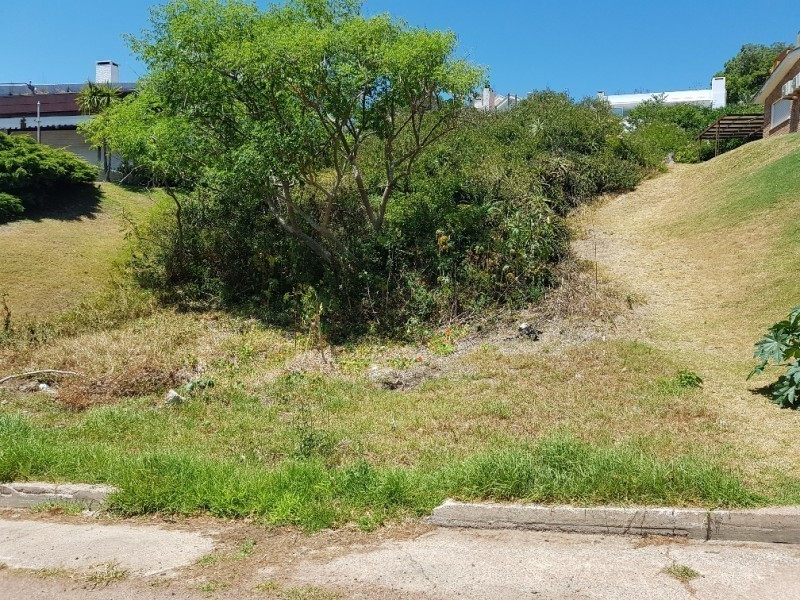 Terreno padrón 1220 la rinconada - foto 2