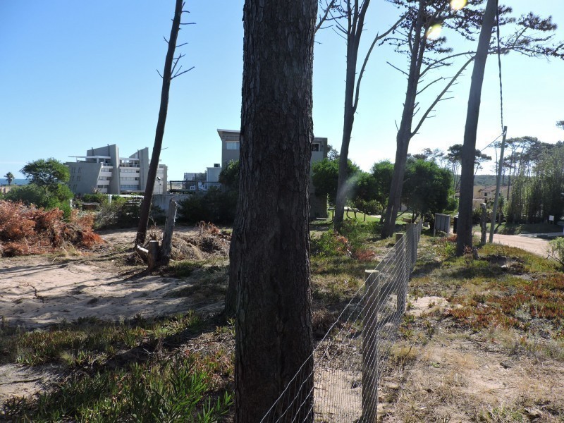 Terreno contrafrente ruta 10 Ex Azibi - foto 14