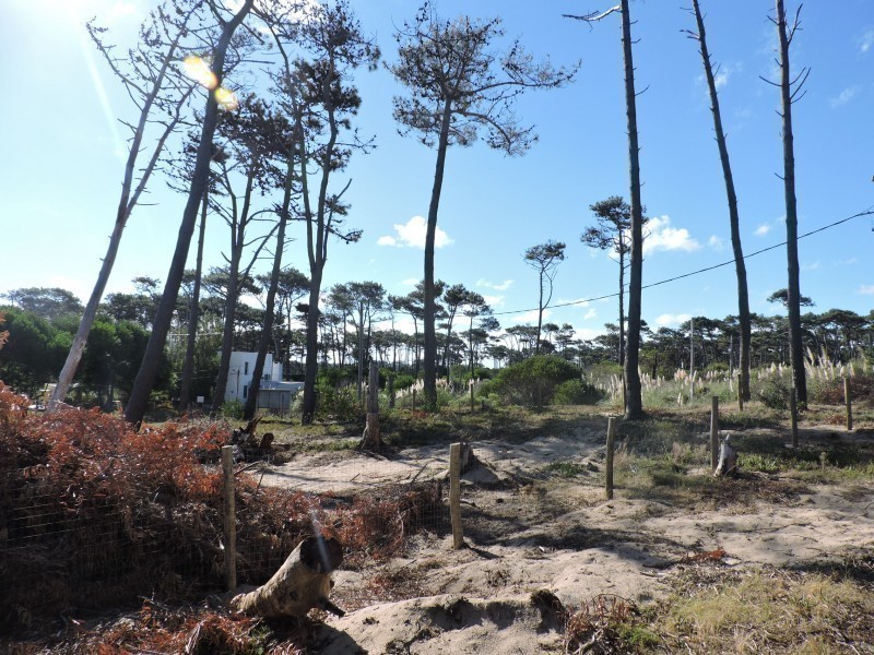 Terreno contrafrente ruta 10 Ex Azibi - foto 15