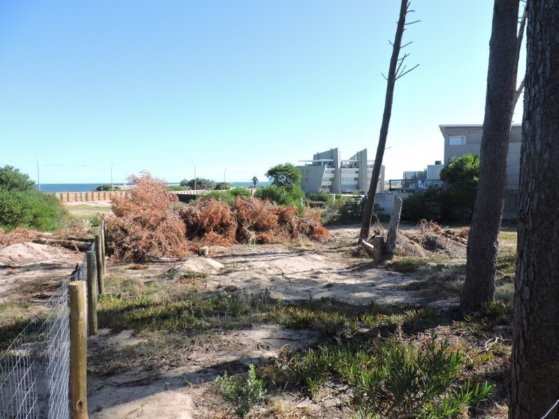 Terreno contrafrente ruta 10 Ex Azibi - foto 8