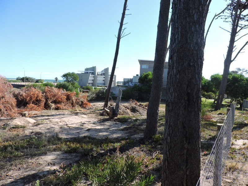 Terreno contrafrente ruta 10 Ex Azibi - foto 9