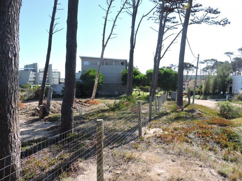 Terreno contrafrente ruta 10 Ex Azibi - foto 5