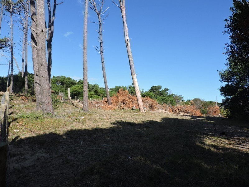 Terreno contrafrente ruta 10 Ex Azibi - foto 4