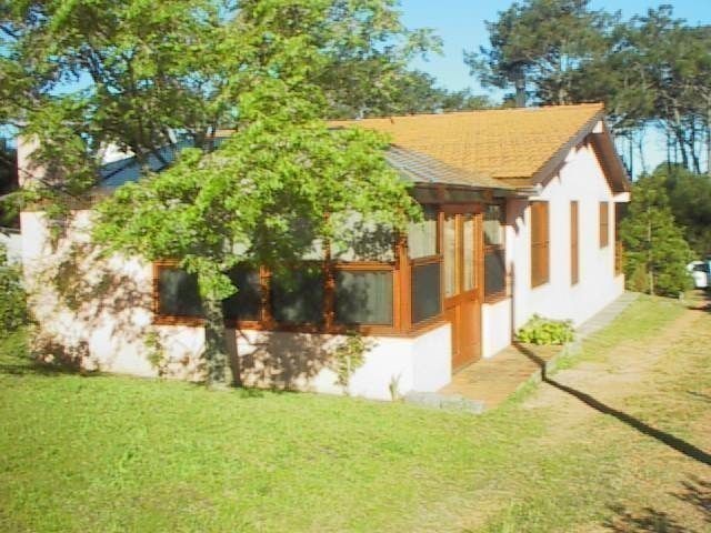 El Sabiá - foto 20