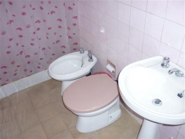 Ecologica - foto 11