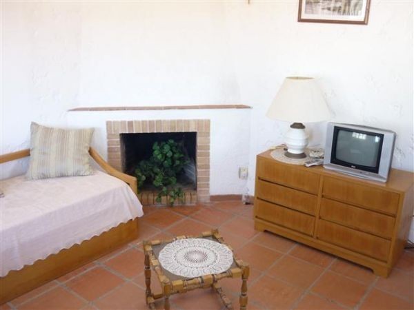 Ecologica - foto 21