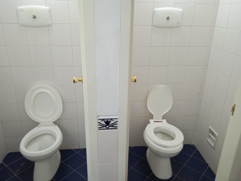 Ex Isola - foto 10