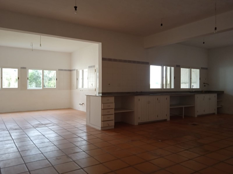 Ex Isola - foto 4