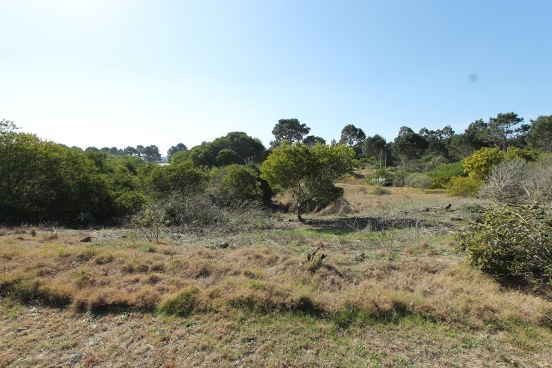 Laguna Escondida lote B20 Calarota - foto 11