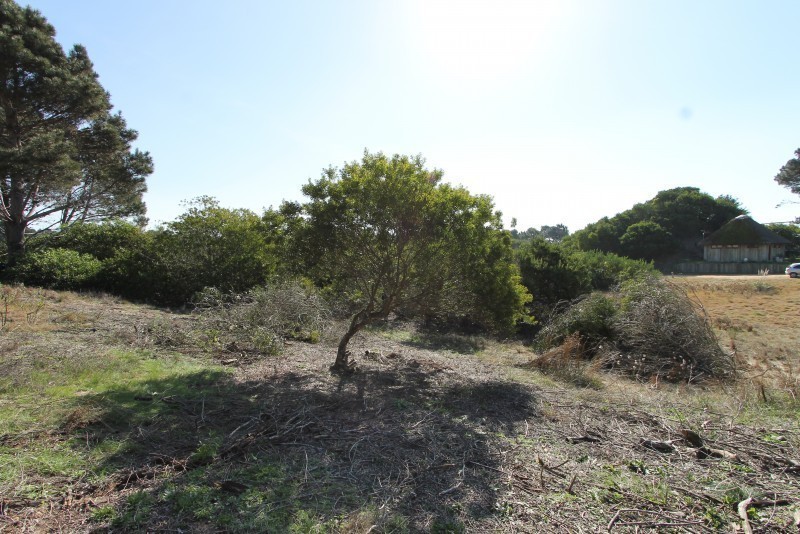 Laguna Escondida lote B20 Calarota - foto 10
