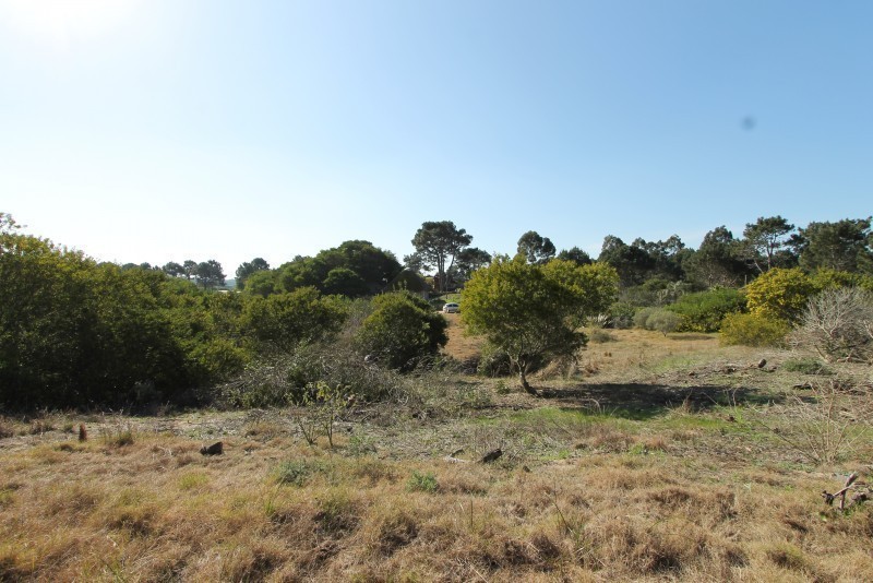 Laguna Escondida lote B20 Calarota - foto 9