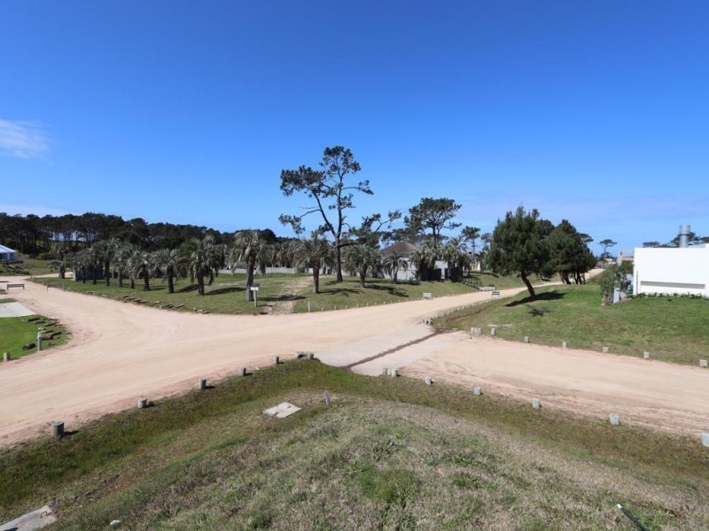 Lote D25 pinar del faro