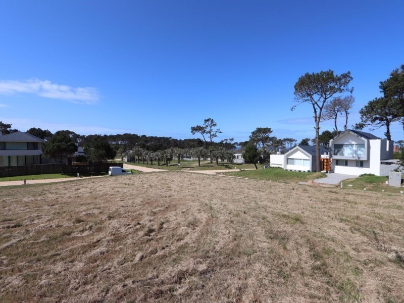 Lote D25 pinar del faro - foto 4