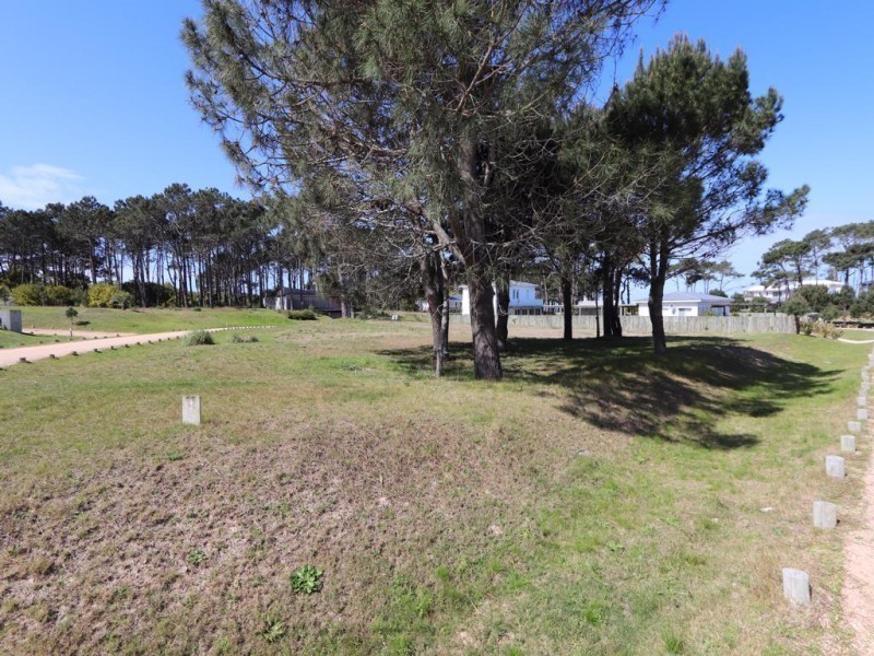 Terreno en venta en Pinar del Faro