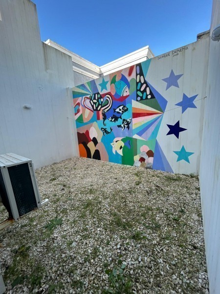 Manero 4 - foto 17