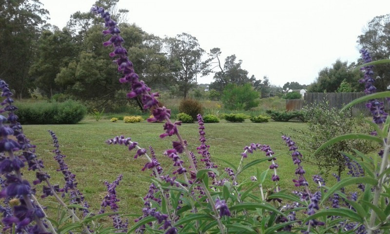 Tres Olivos - foto 15