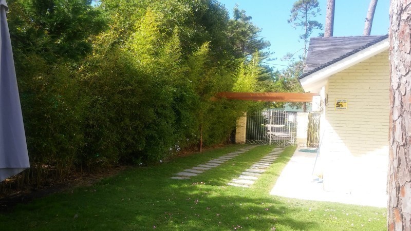 Evergreen ( Pda 10 Mansa) - foto 16