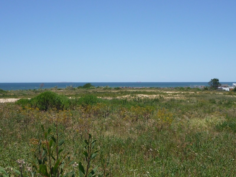 Lotes Walter Tanit - foto 5