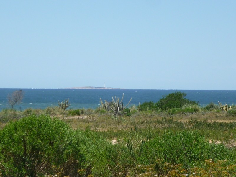 Lotes Walter Tanit - foto 7