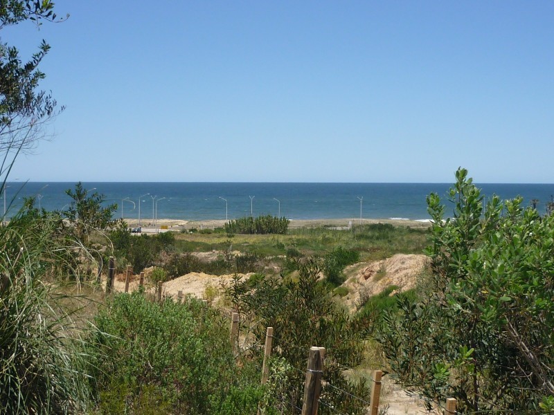 Lotes Walter Tanit - foto 3