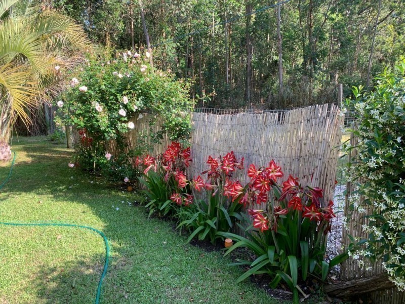 Casa Arena - foto 24