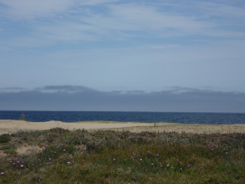 02-65-11331 - foto 4