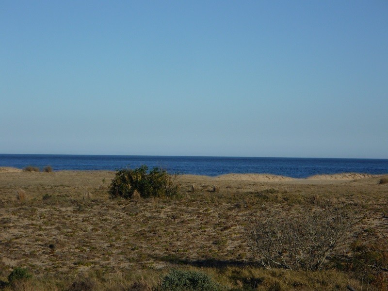 02-65-11331 - foto 5