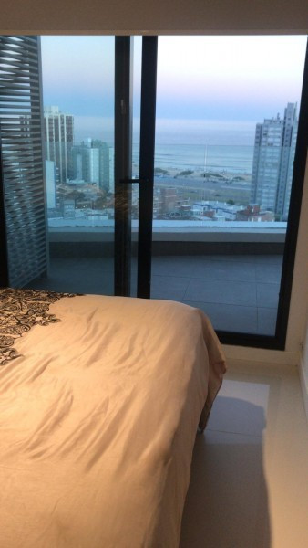 Art Tower 1708 - ahora con colega - foto 5