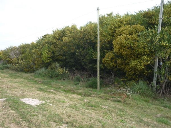 Terrenos Ruta 104 - Padrones 15008 -15009 - foto 7