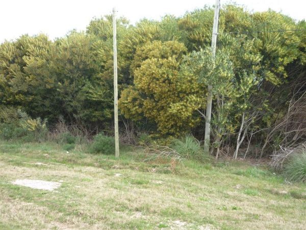 Terrenos Ruta 104 - Padrones 15008 -15009 - foto 6