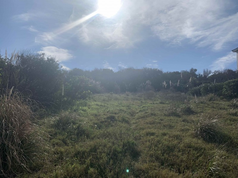 Lote Punta Piedras - foto 2