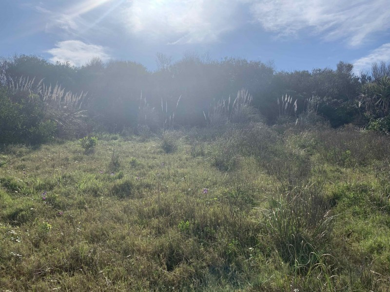 Lote Punta Piedras - foto 4
