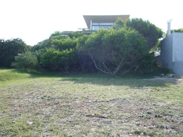 P 12086 - foto 5