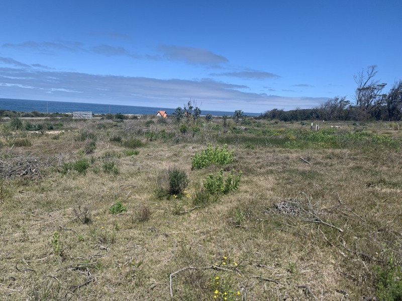 Lote 150 PDE Polo Club