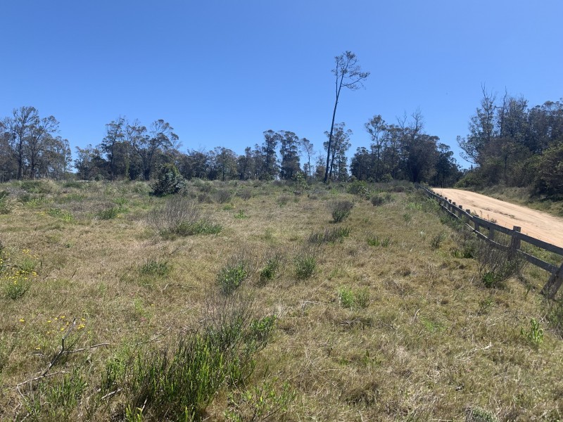 Lote 150 PDE Polo Club - foto 4