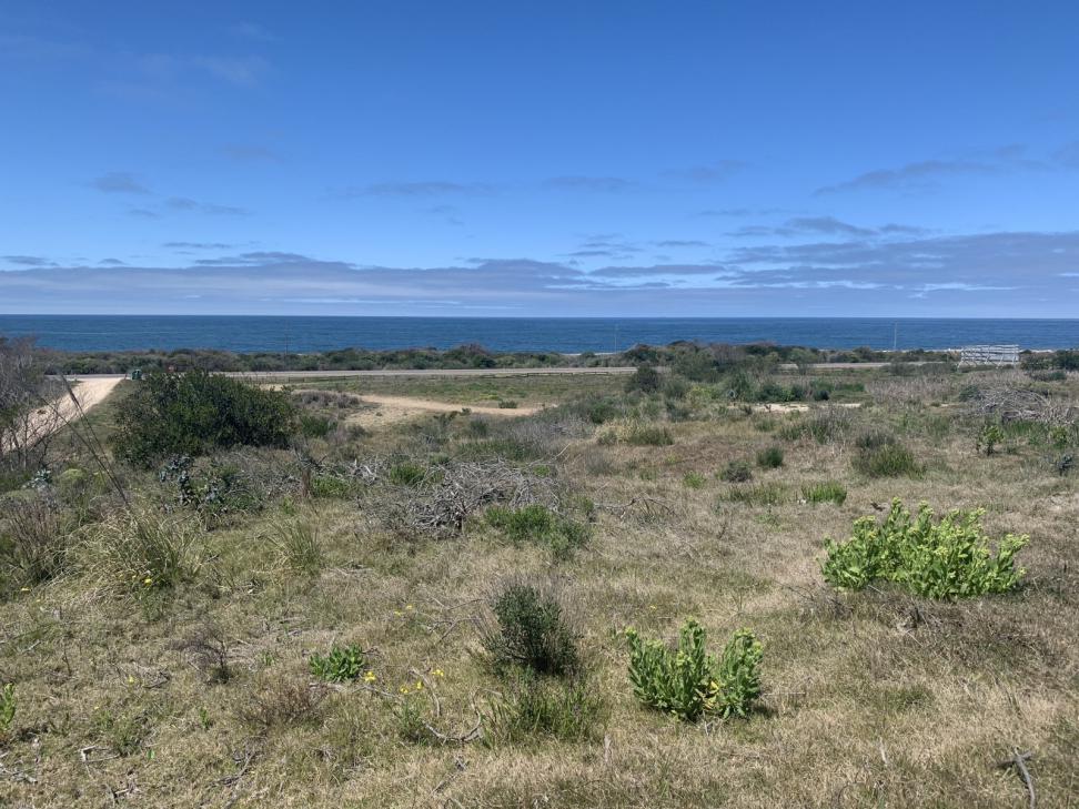 Terreno en venta en Punta del Este Polo Club