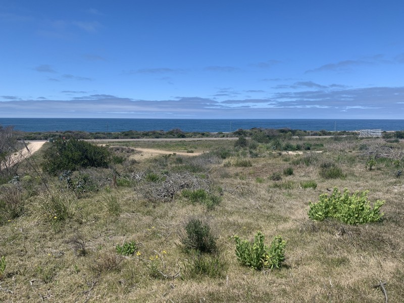 Lote 150 PDE Polo Club - foto 5