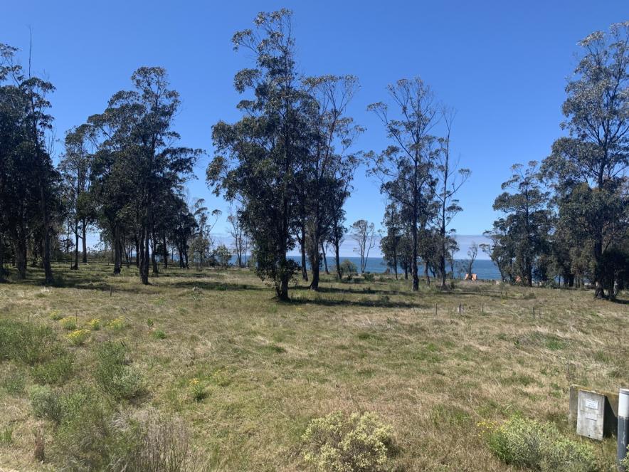 Lote en Punta del Este Polo Club en venta