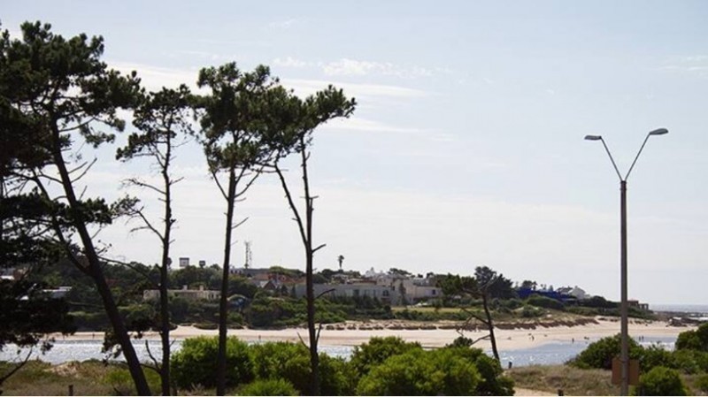 Pinares de la Barra 202