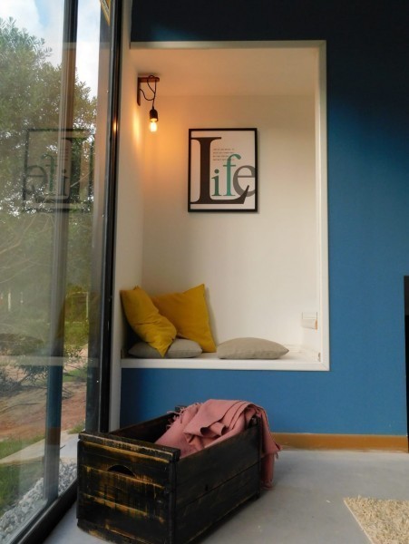 Chihuahua loft