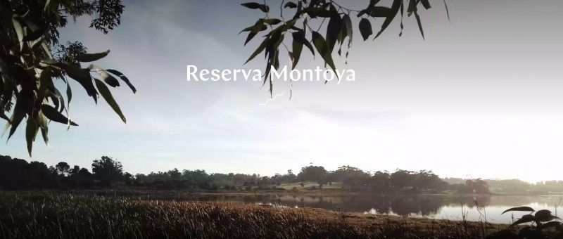 Reserva de Montoya - foto 14