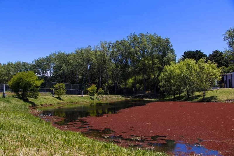 Verdemora Lote 44 - foto 2