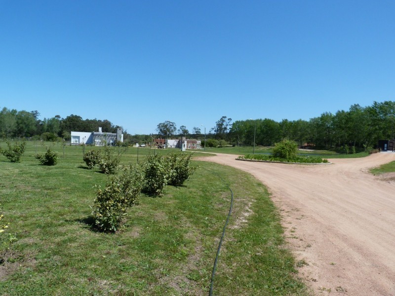Verdemora Lote 44