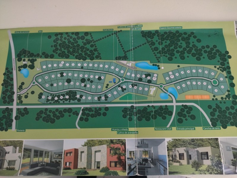 Verdemora Lote 44 - foto 4