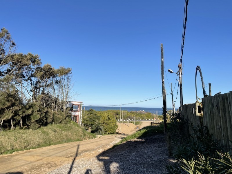 Castaña - foto 24