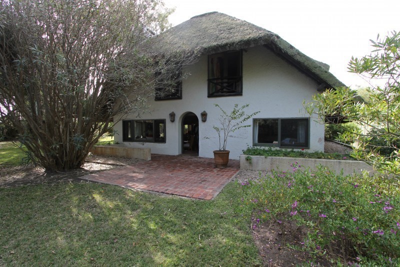 Yaguari - foto 2