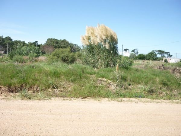calle 43 U$$ 58000 - foto 2