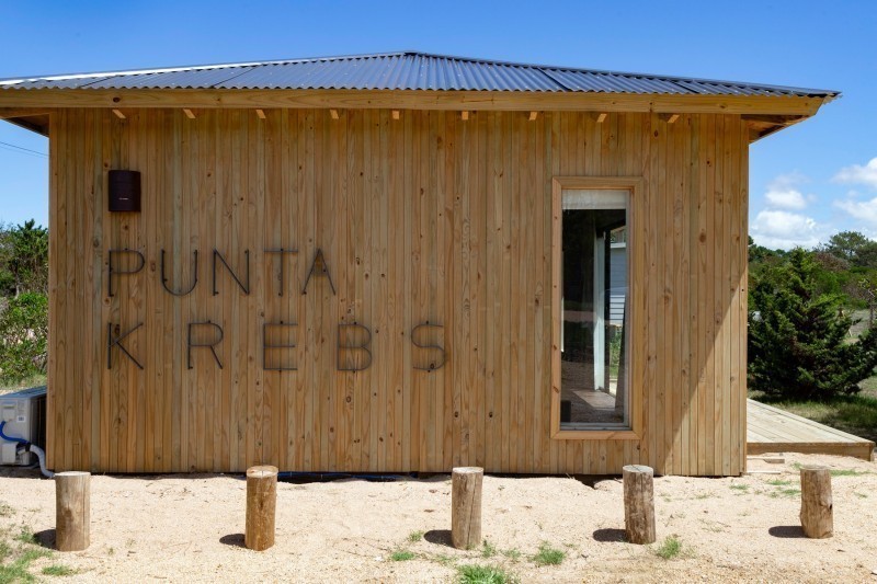 Punta Krebs - foto 16