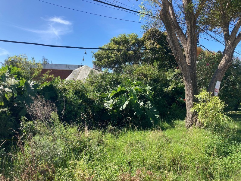 Lote en el chorro pad 3204 - foto 4